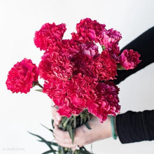 Load image into Gallery viewer, Petticoat-25