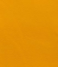 Load image into Gallery viewer, Petticoat-25