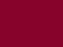 Load image into Gallery viewer, Petticoat-25
