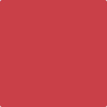 Load image into Gallery viewer, Petticoat-25

