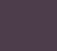 Load image into Gallery viewer, Petticoat-25
