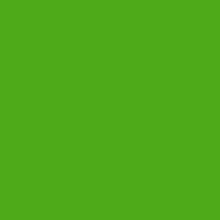 Load image into Gallery viewer, Petticoat-25
