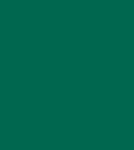 Load image into Gallery viewer, Petticoat-25
