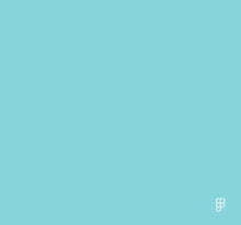 Load image into Gallery viewer, Petticoat-25
