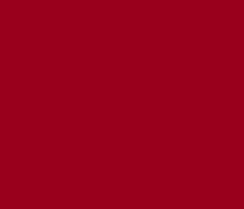 Load image into Gallery viewer, Petticoat-25
