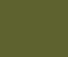 Load image into Gallery viewer, Petticoat-25
