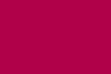 Load image into Gallery viewer, Petticoat-25

