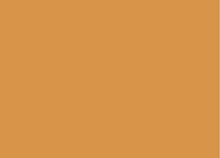 Load image into Gallery viewer, Petticoat-25
