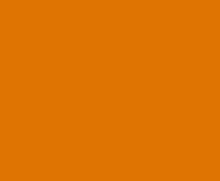 Load image into Gallery viewer, Petticoat-25
