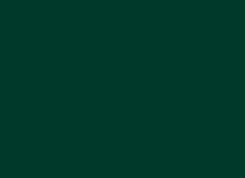 Load image into Gallery viewer, Petticoat-25
