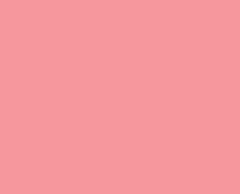Load image into Gallery viewer, Petticoat-25
