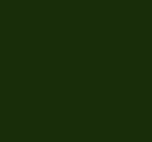 Load image into Gallery viewer, Petticoat-25
