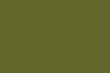 Load image into Gallery viewer, Petticoat-25
