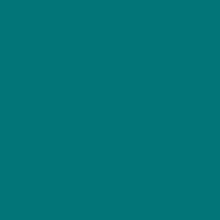 Load image into Gallery viewer, Petticoat-25
