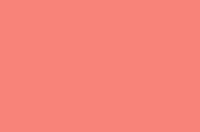 Load image into Gallery viewer, Petticoat-25
