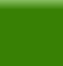 Load image into Gallery viewer, Petticoat-25
