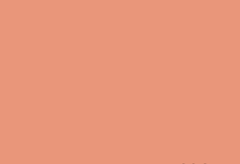 Load image into Gallery viewer, Petticoat-25
