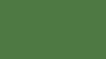 Load image into Gallery viewer, Petticoat-25
