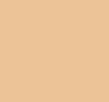 Load image into Gallery viewer, Petticoat-25
