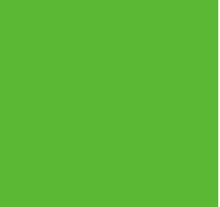 Load image into Gallery viewer, Petticoat-25
